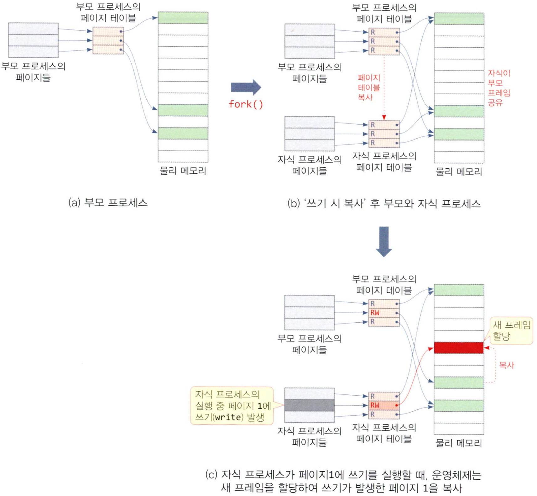 쓰기 시 복사로 자식 프로세스 생성 및 실행 과정